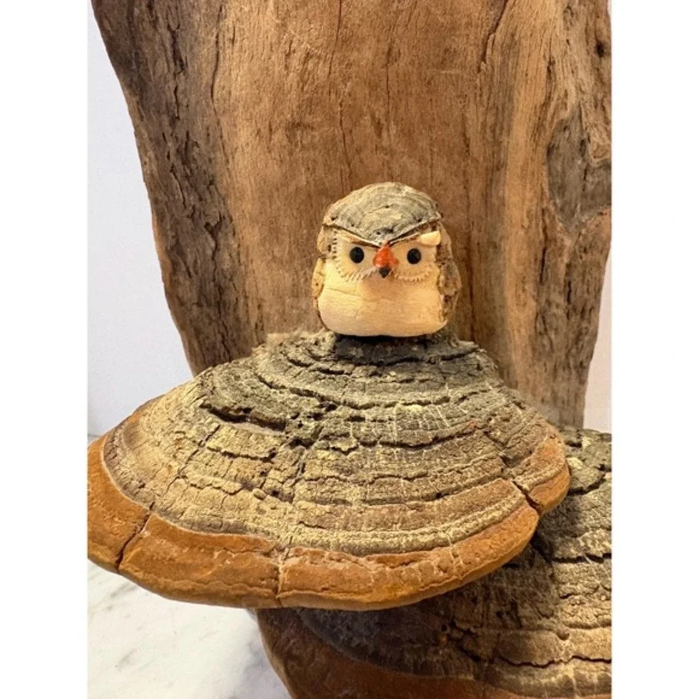 Driftwood‎ with adorable baby owl and mushrooms 14
